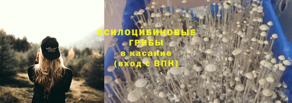 тгк Баксан