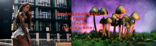 mdpv Арсеньев