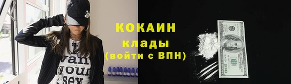 мяу мяу мука Аркадак