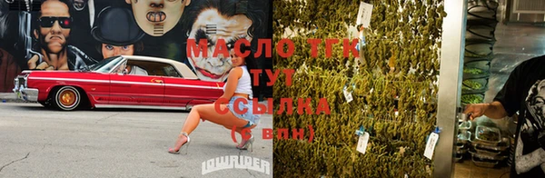 ешки Инта