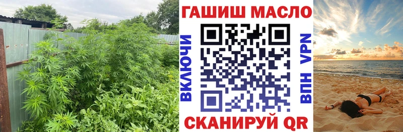ссылка на мегу онион  Нижнеудинск  ТГК концентрат 